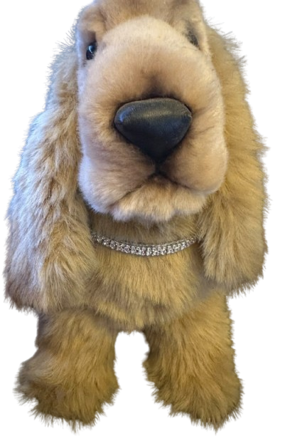 Custom Made Bling Collars