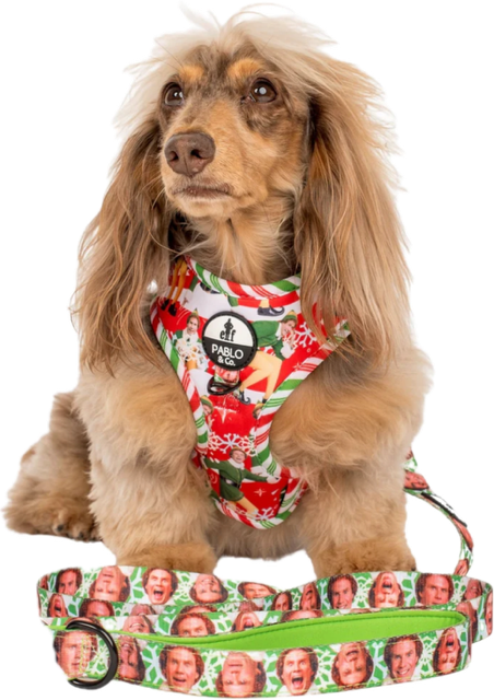 Pablo & Co Adjustable Harness