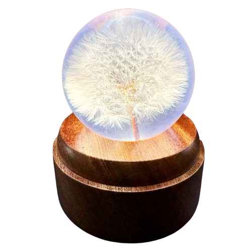 Dandelion  "I Wish" Music Dome