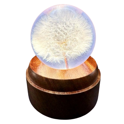 Dandelion  "I Wish" Music Dome