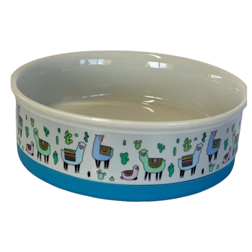 Indie Boho  Ceramic Dog Bowl