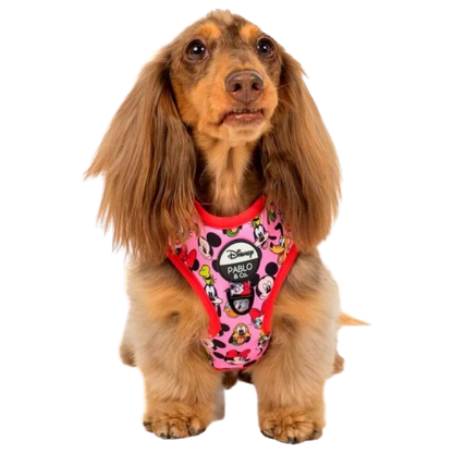 Pablo & Co Adjustable Harness