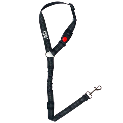 Seatbelt Restraints