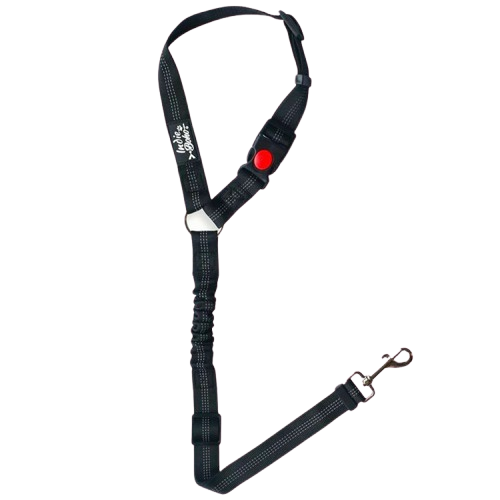 Seatbelt Restraints