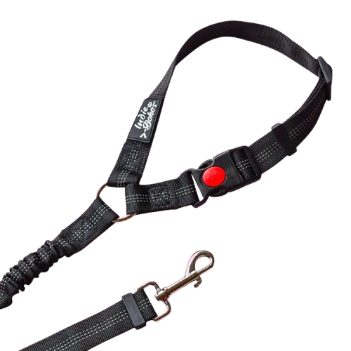 Seatbelt Restraints