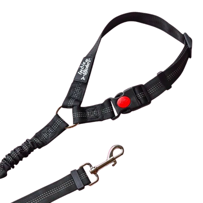 Seatbelt Restraints
