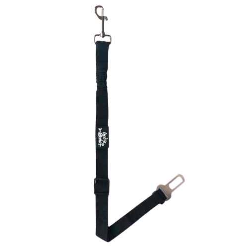 Seatbelt Restraints