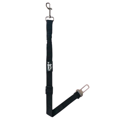 Seatbelt Restraints