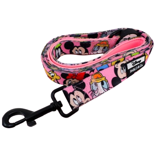 Pablo & Co Leashes