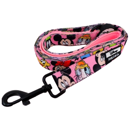 Pablo & Co Leashes