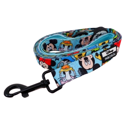 Pablo & Co Leashes