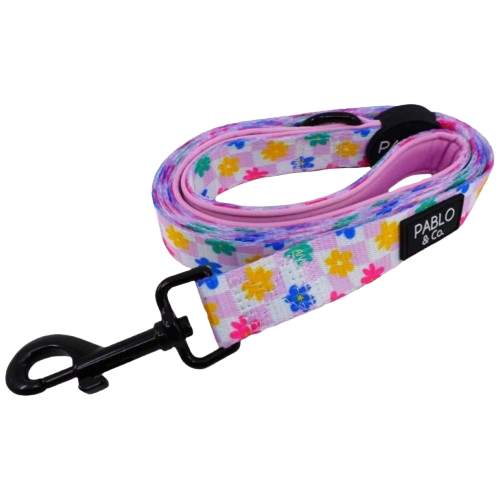 Pablo & Co Leashes
