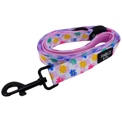 Pablo & Co Leashes