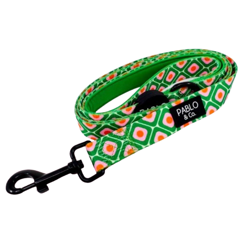 Pablo & Co Leashes