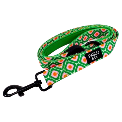Pablo & Co Leashes