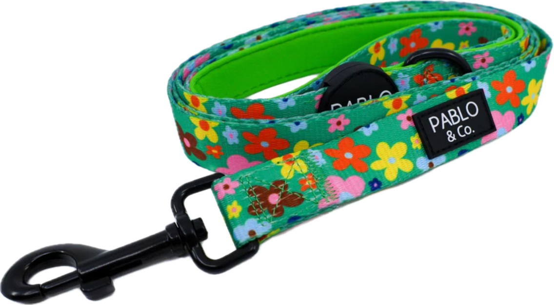 Pablo & Co Leashes