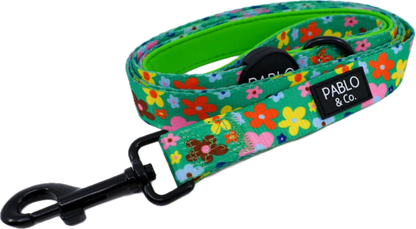 Pablo & Co Leashes