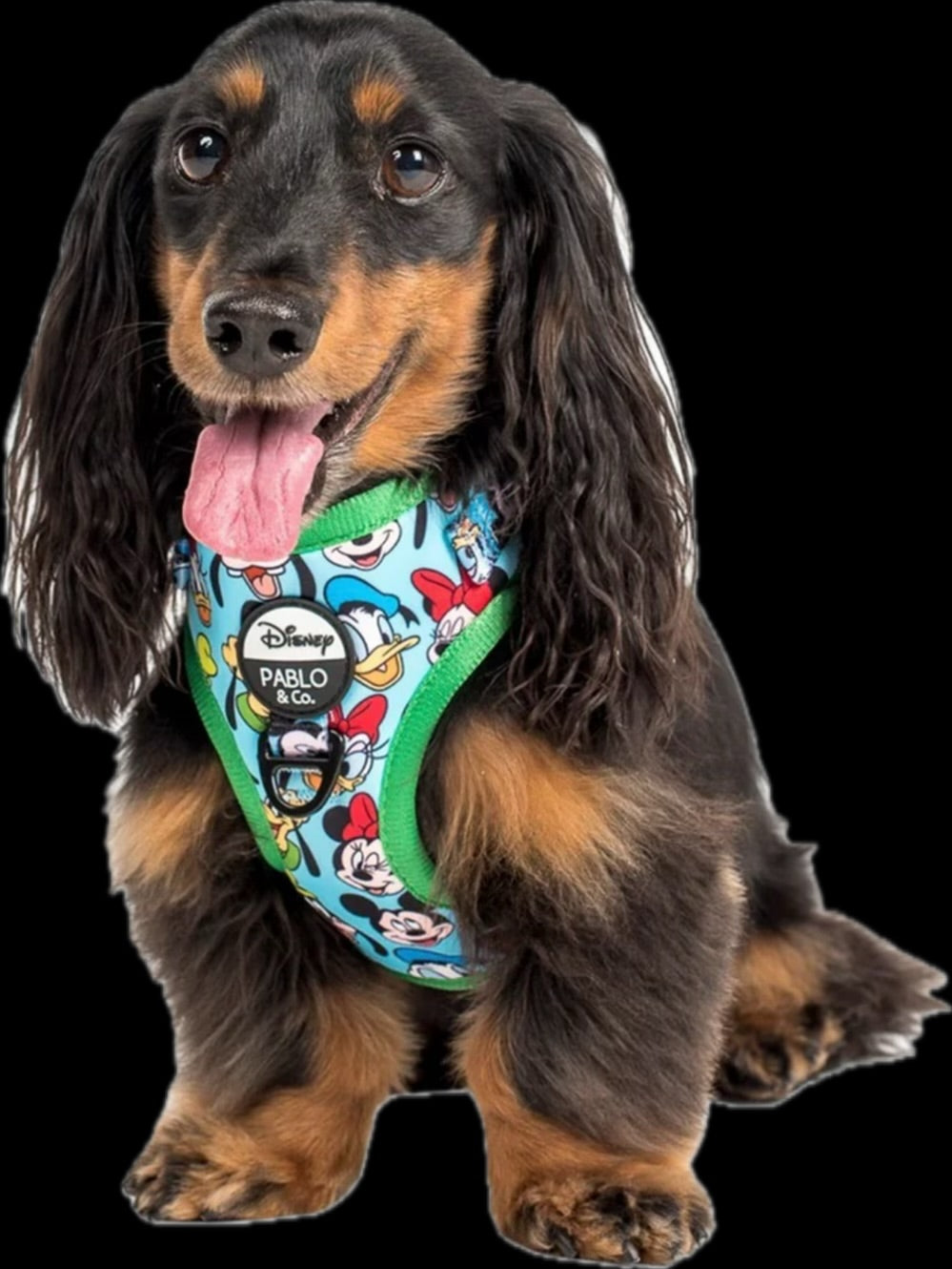 Pablo & Co Adjustable Harness