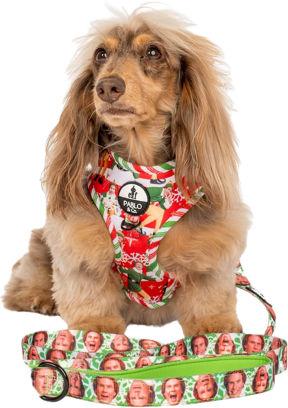 Pablo & Co Adjustable Harness