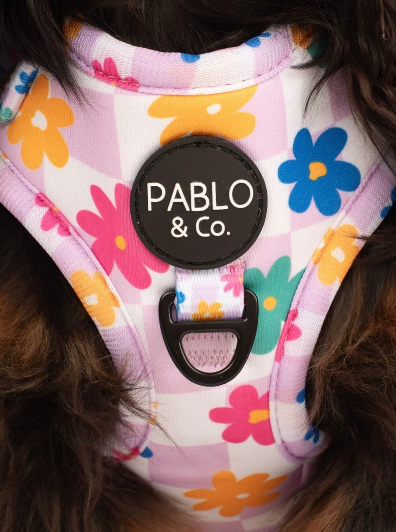 Pablo & Co Adjustable Harness