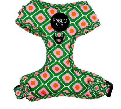 Pablo & Co Adjustable Harness