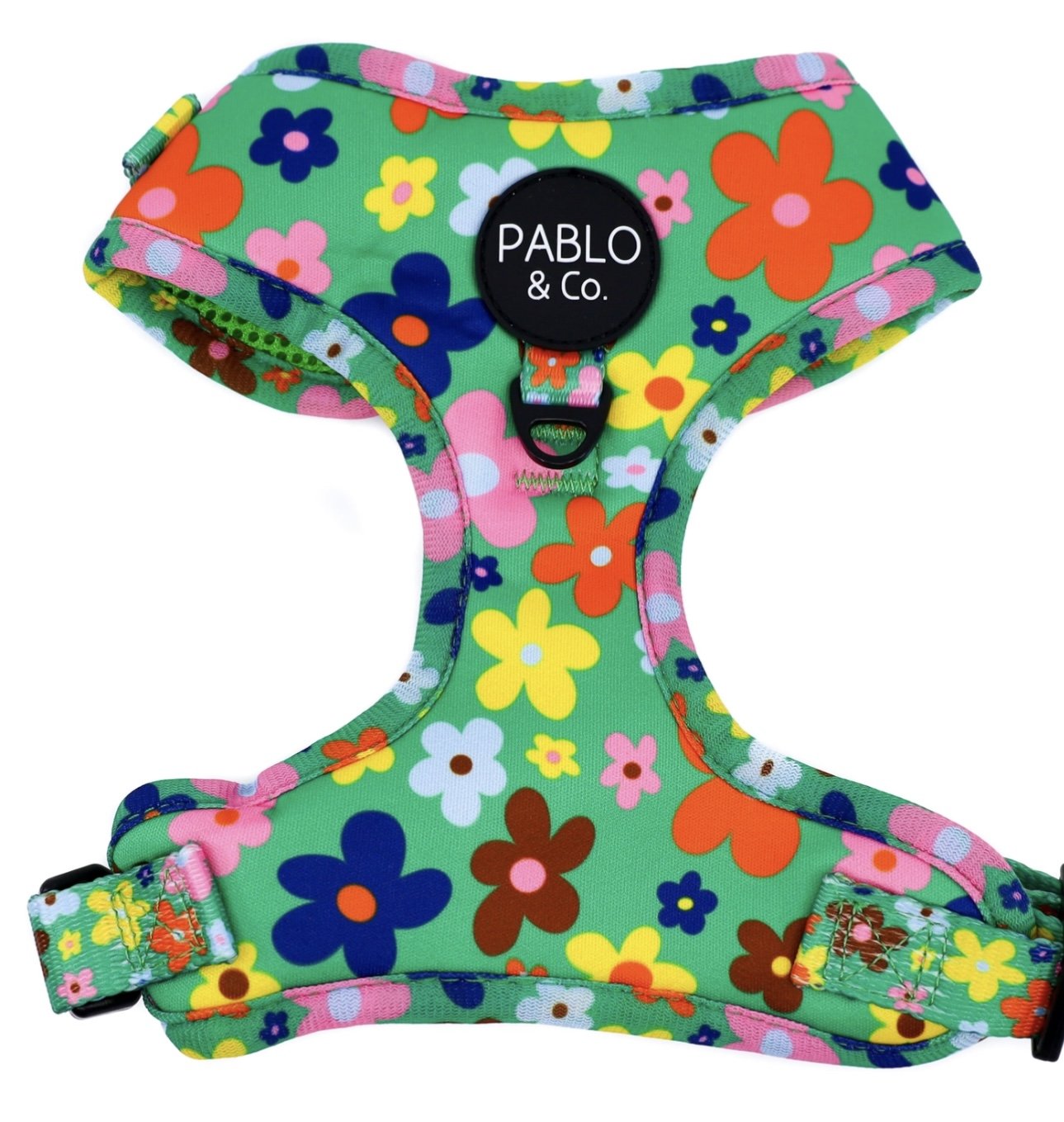 Pablo & Co Adjustable Harness