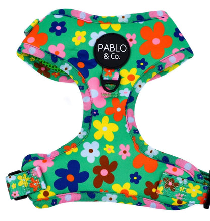 Pablo & Co Adjustable Harness